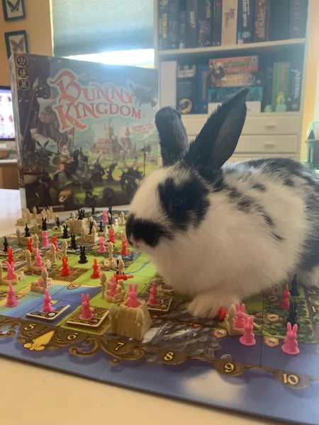 Bunny Kingdom